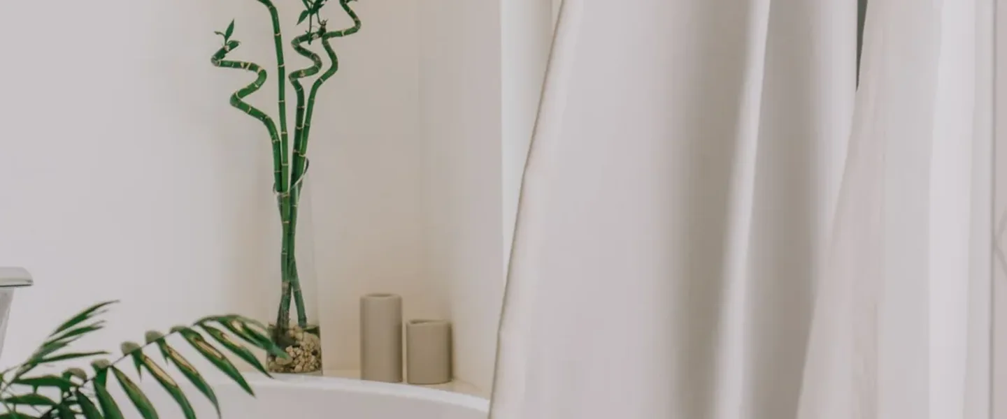 Green bamboo and fresh white bathroom decor